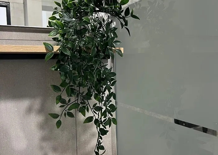 شقة Joli T2 Renove *