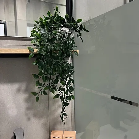 דירה Joli T2 Renove *